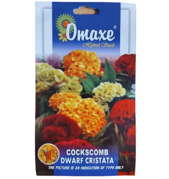Omaxe Cockscomb Dwarf Cristata Flower Seed- 100 Seeds